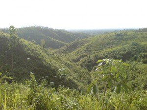 view around tribal village in Sirmangal